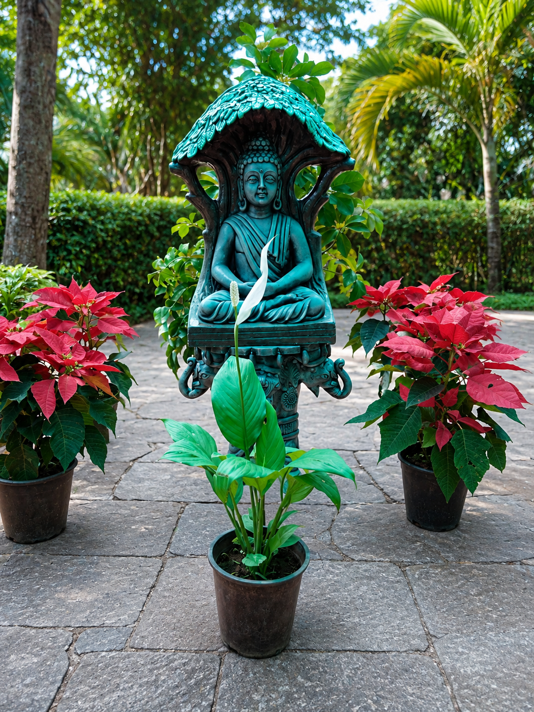Buddha feature grouping